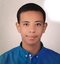 Ahmed Essam El-Din